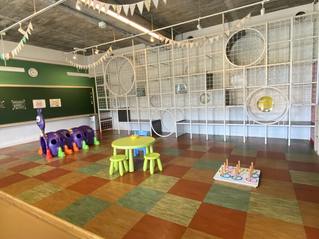 道の駅 保田小学校室内遊具2