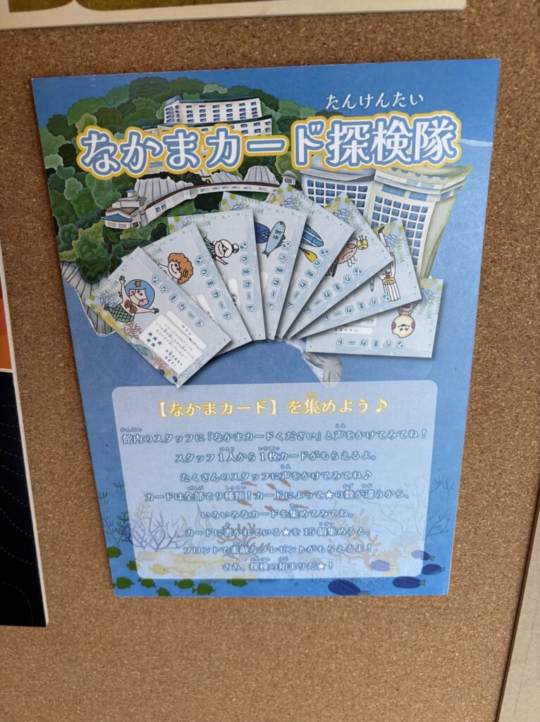 カード探検隊