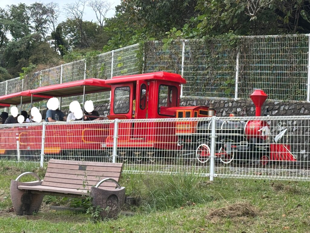 こどもの国で有料で楽しめる機関車。専用線路を行って帰れるようになってます