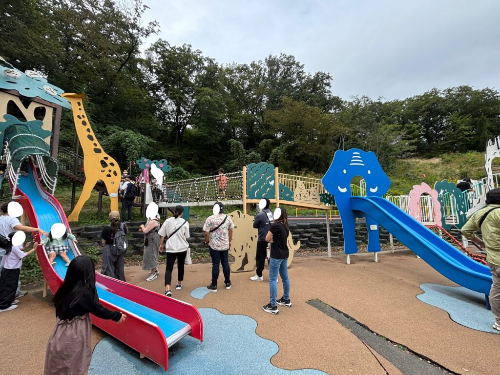 こどもの国の大きい子向け滑り台エリア。滑り台がたくさんあり、人は多いが待ち時間をあまりかけず楽しめる