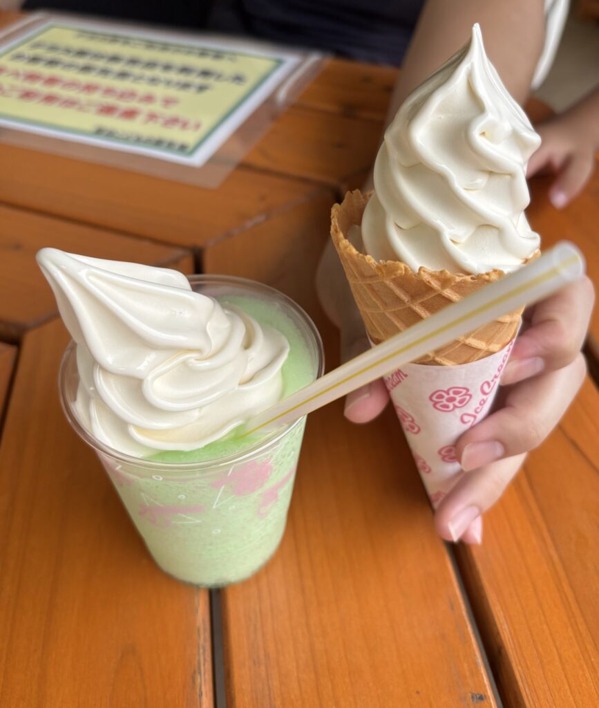 こどもの国のソフトクリームとメロンソーダシャーベット。混んでいるのでお早めに