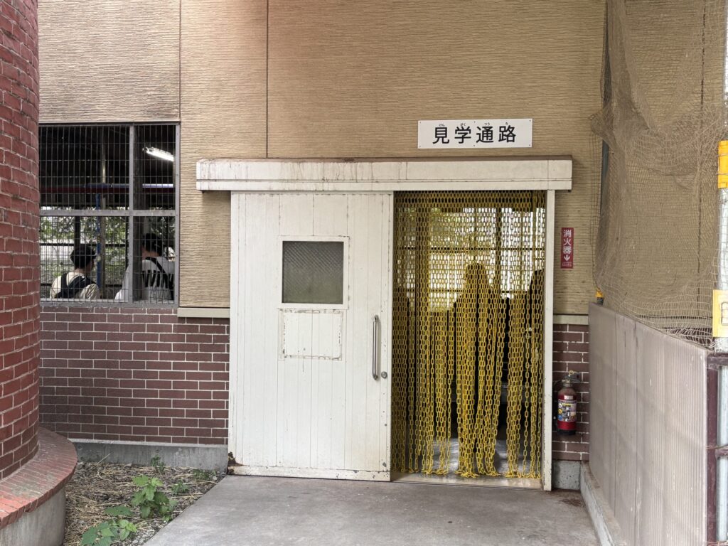 こどもの国の牛舎小屋見学入口。まじかで牛を見れるチャンス