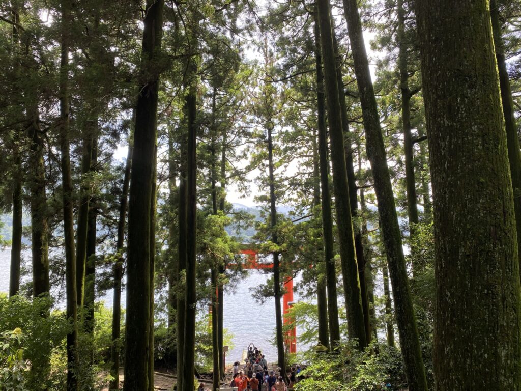 人気の箱根神社のフォトスポット。すごい人気で人が大行列だった