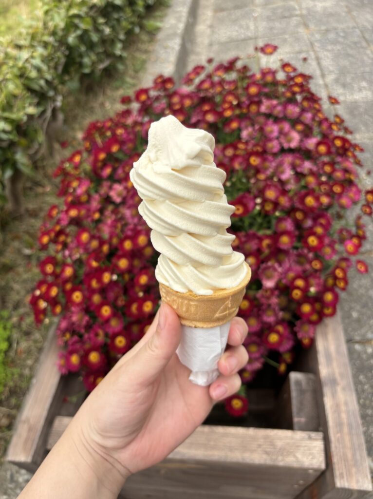 元は牛乳屋さんの珊瑚礁のソフトクリームは待ち時間にも購入可能