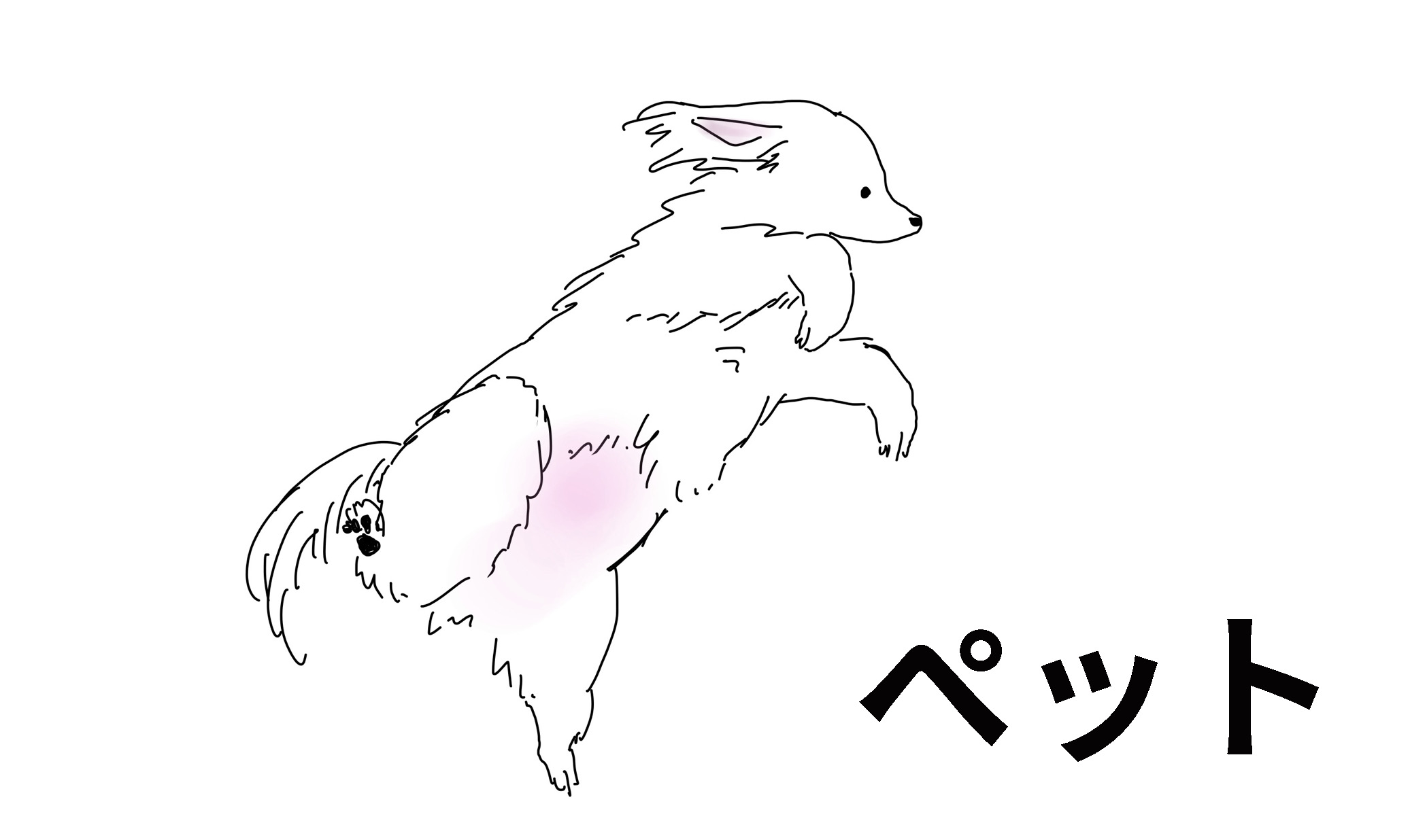 ペット