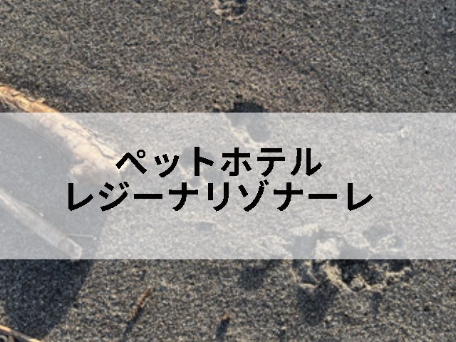 ペットホテルレジーナリゾート鴨川の記事のタイトル