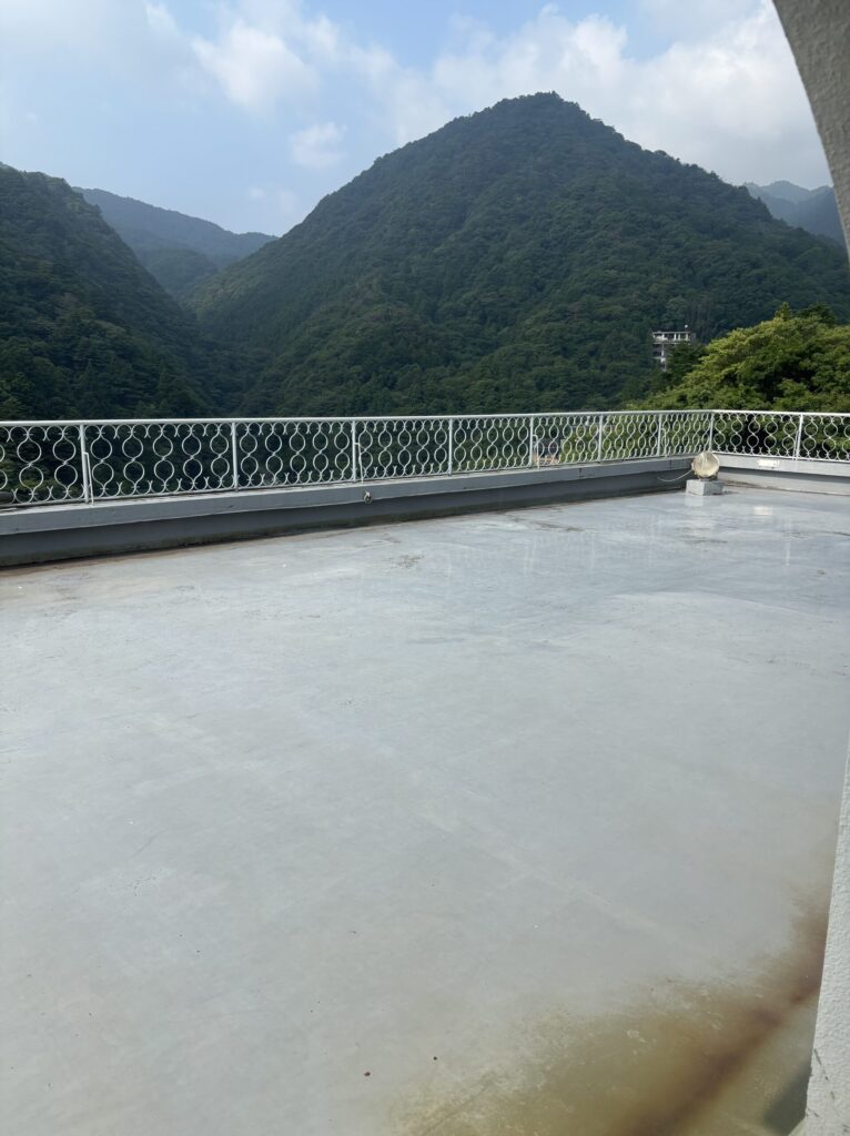 彩向陽の屋上