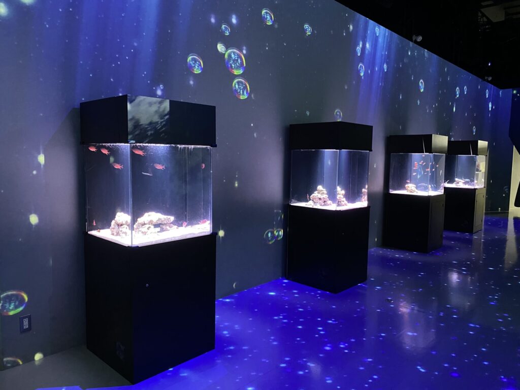 アクアパーク品川の館内