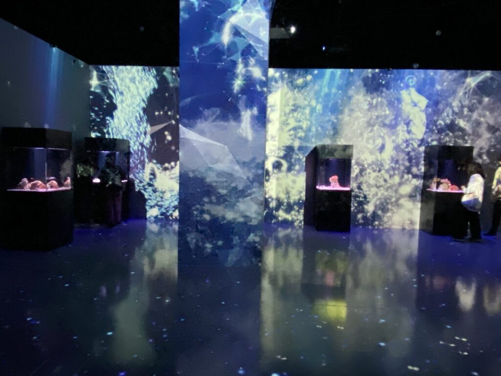 アクアパーク品川の館内